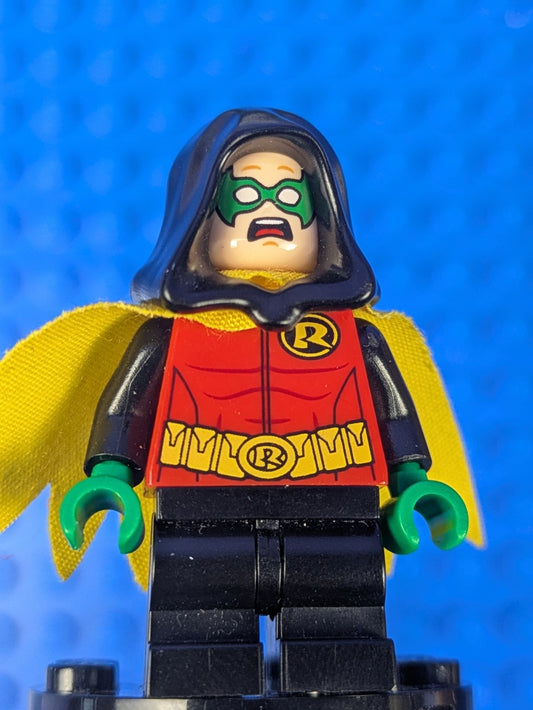 Lego Super Heroes: Batman II: Robin - Green Hands and Hood sh0289 Set 76056