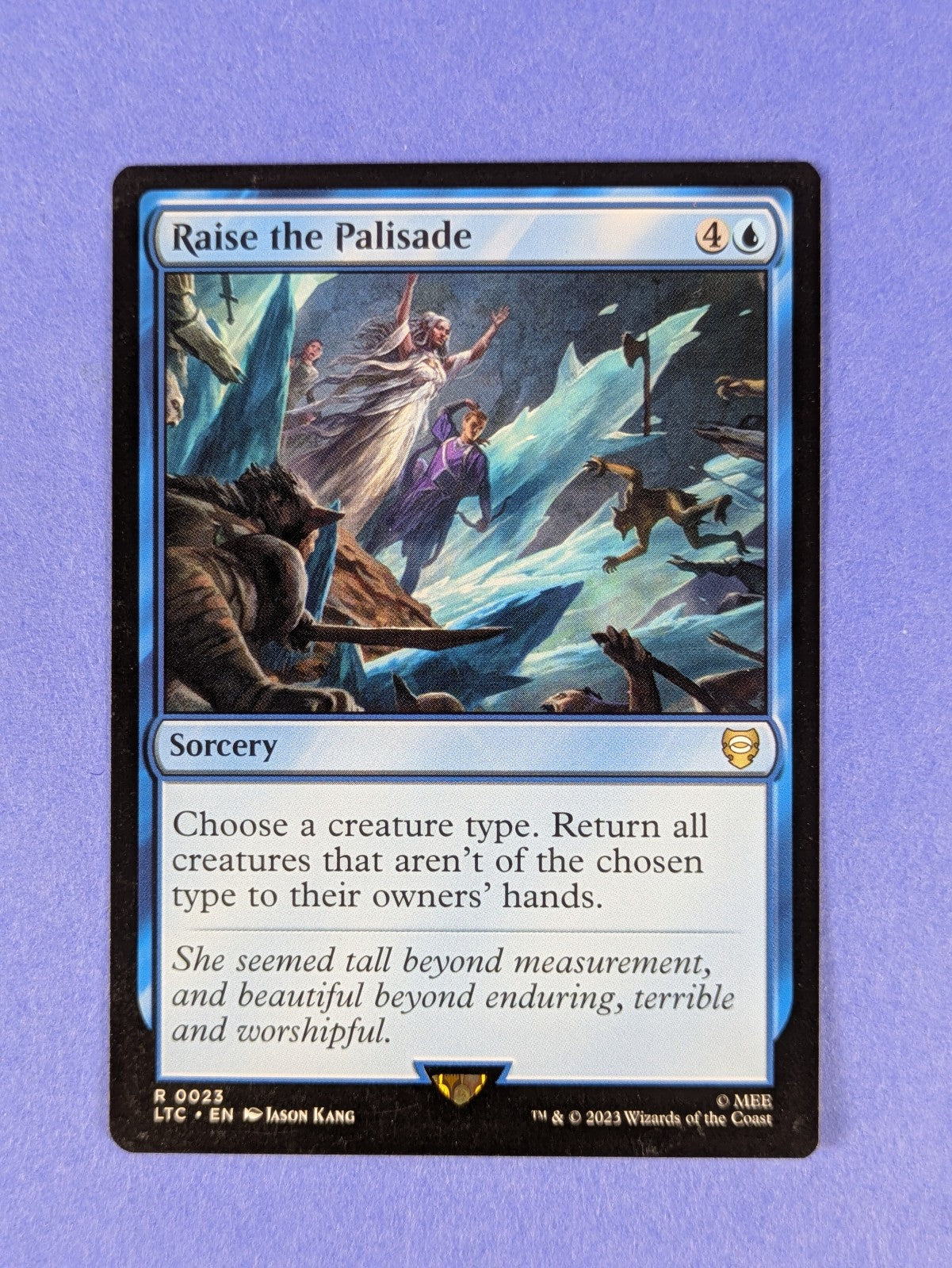 MTG: The Lord of the Rings: Raise the Palisade #0023 Rare - NM