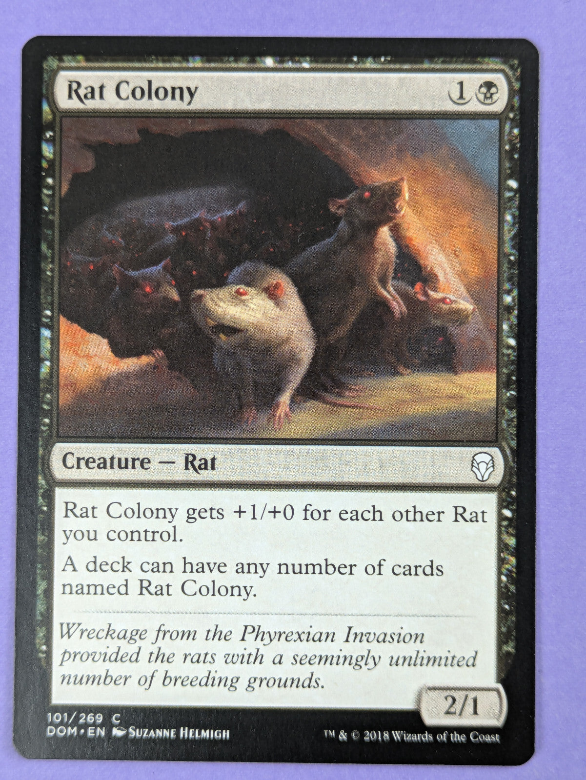 MTG Magic The Gathering: Dominaria: Rat Colony #101/269 Common - NM