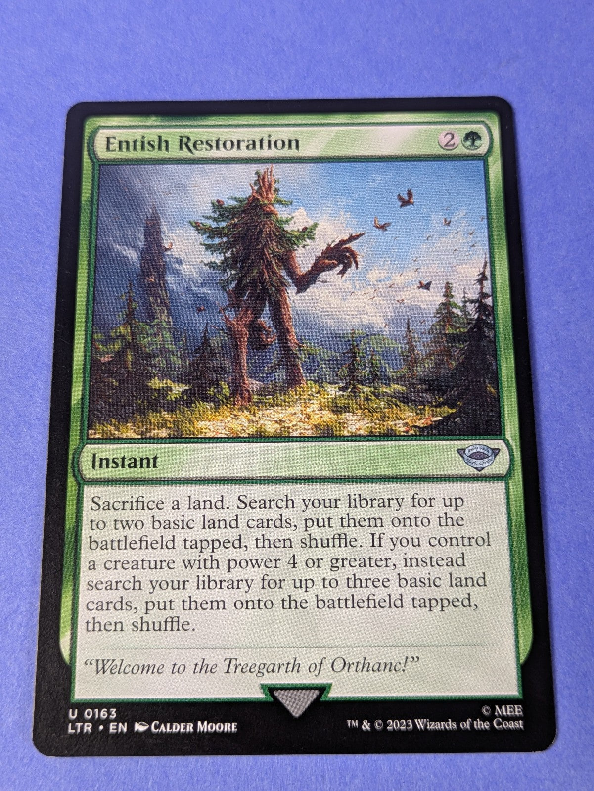 MTG Magic: The Lord of the Rings: Entish Restoration #0163 Uncommon - NM