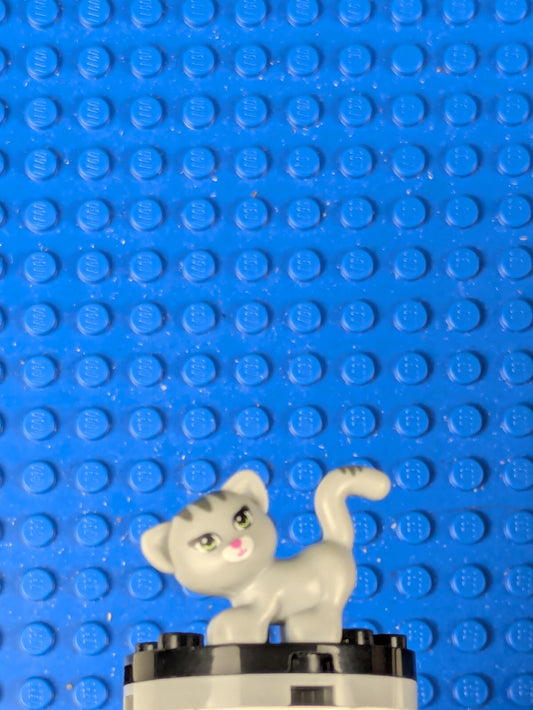 Lego Friends: Cat 93089pb01 Sets 3189, 41101