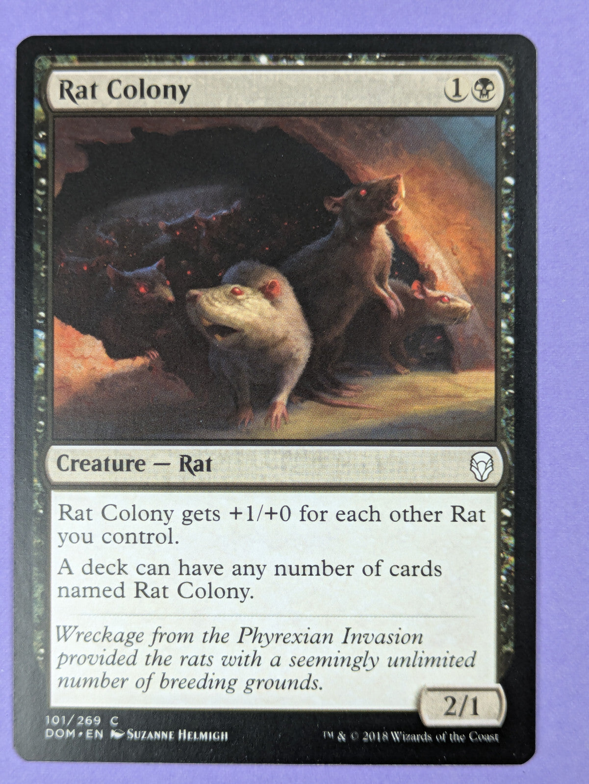 MTG Magic The Gathering: Dominaria: Rat Colony #101/269 Common - NM