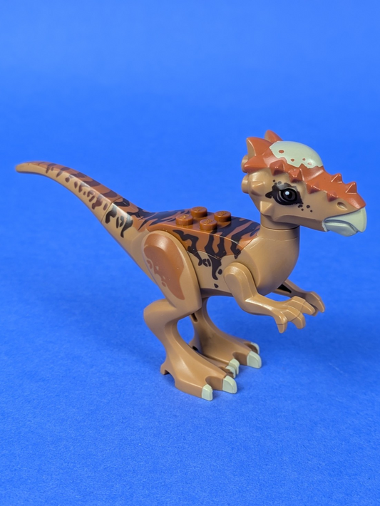 Lego Jurassic World: Animal: Dinosaur Stygimoloch styg01 Set 75927