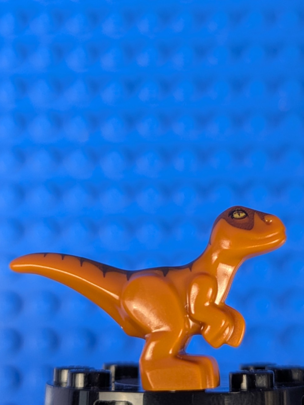Lego Jurassic World: Animal: Dinosaur Baby Standing 37829pb01 Set 75929