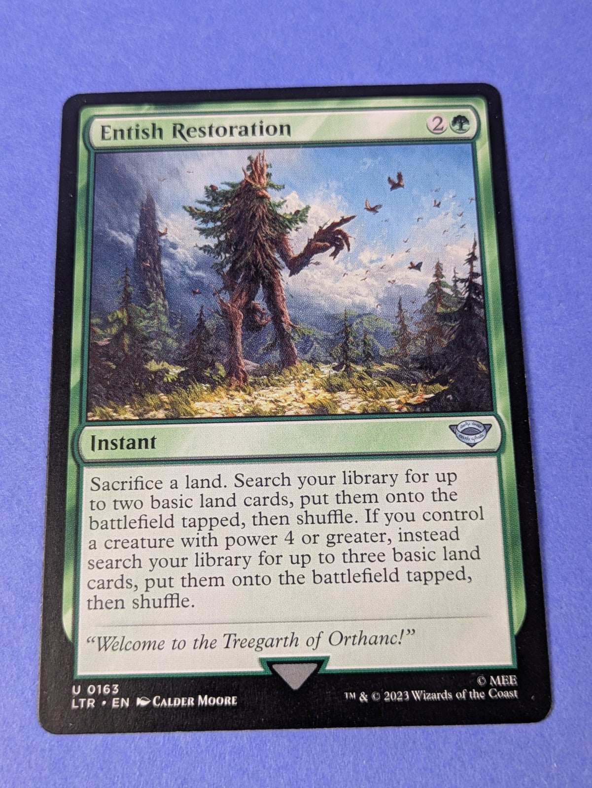 MTG Magic: The Lord of the Rings: Entish Restoration #0163 Uncommon - NM