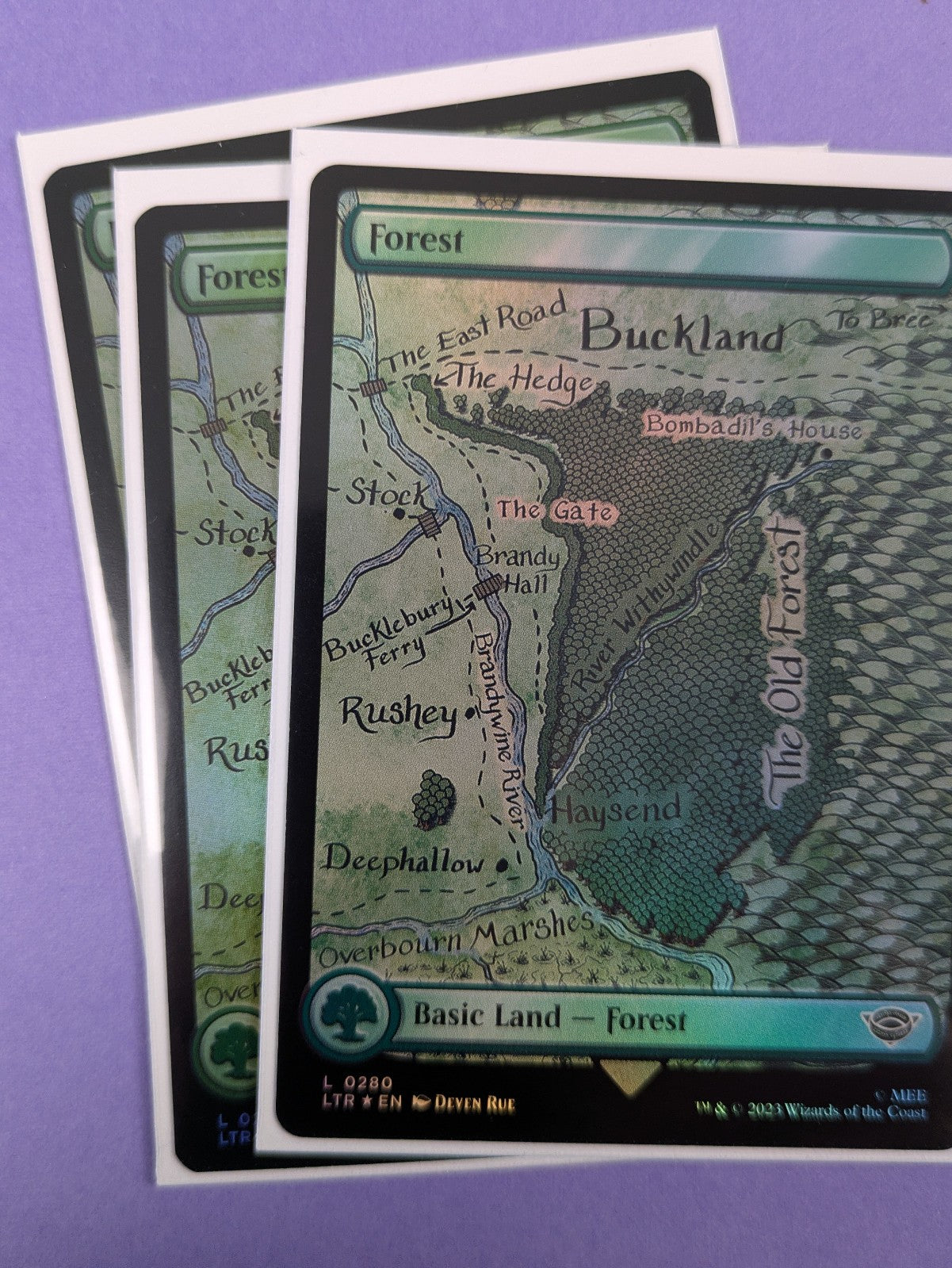 MTG: The Lord of the Rings: Tales of Middle-earth: Forest Foil #0280 Land - NM