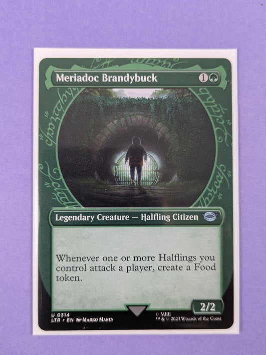 MTG: The Lord of the Rings: Meriadoc Brandybuck #0314 Uncommon - NM