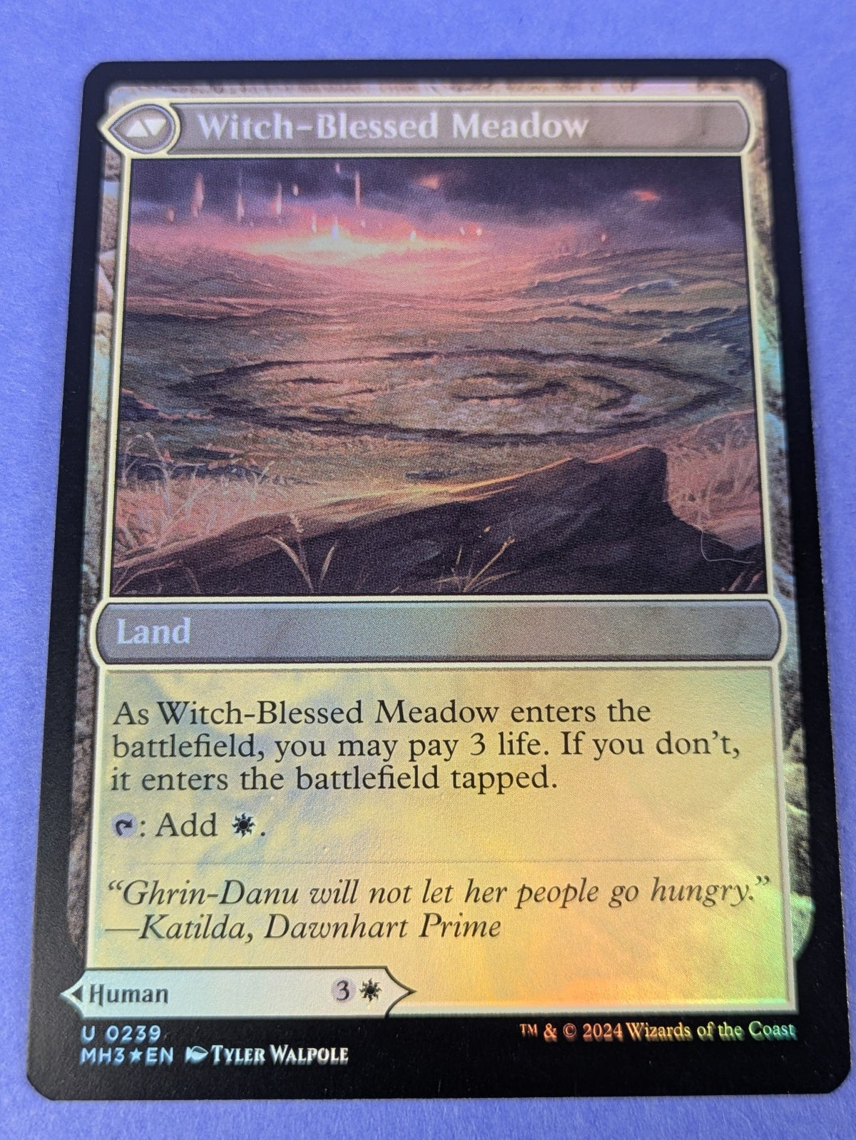 MTG: Witch Enchanter / Witch-Blessed Meadow Foil #0239 Uncommon - NM