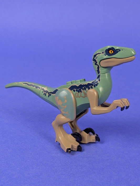 Lego Jurassic World: Animal: Dinosaur Raptor / Velociraptor raptor09 Set 75930