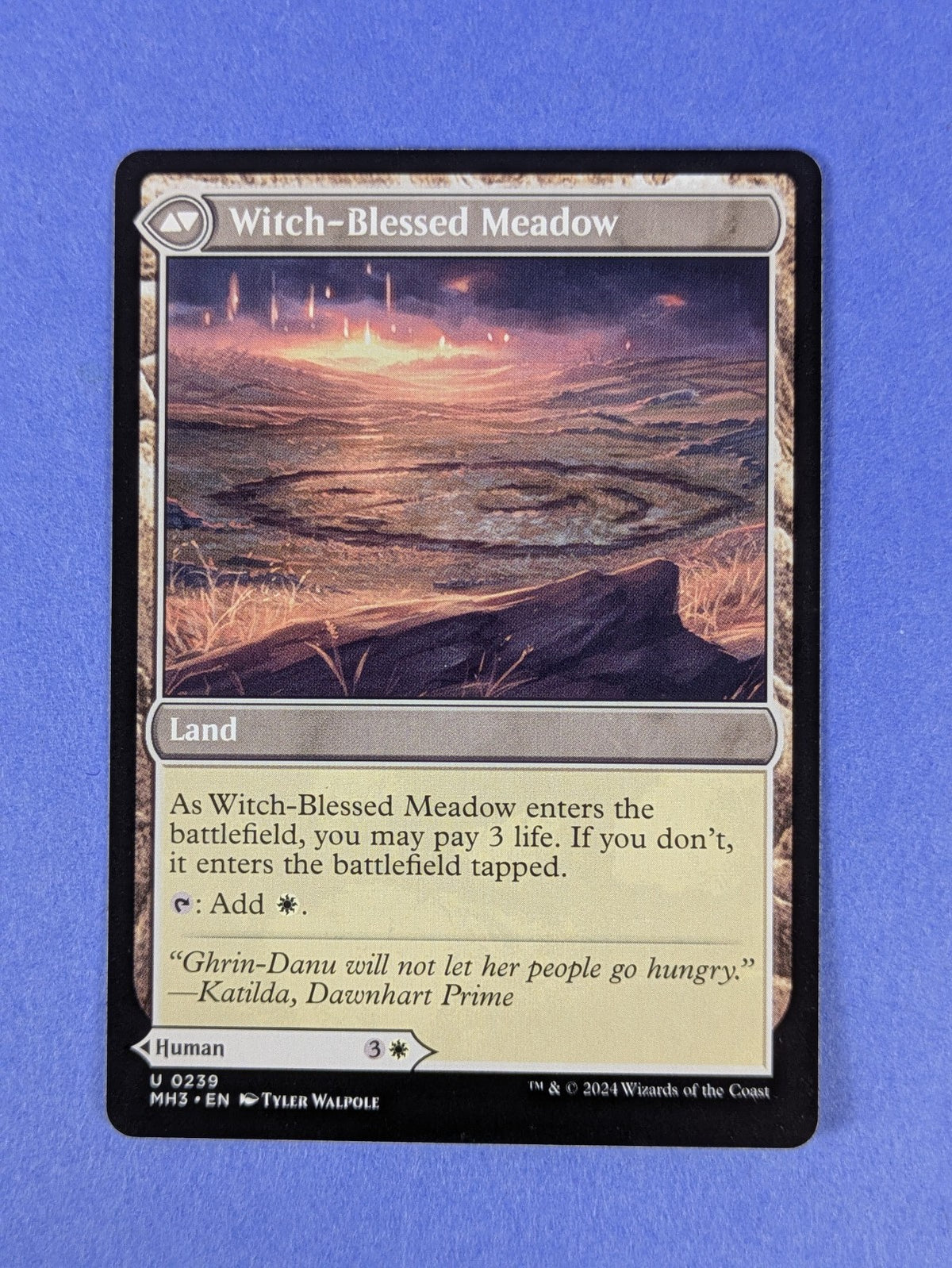 MTG: Modern Horizons 3: Witch Enchanter / Witch-Blessed Meadow #0239 Uncommon NM