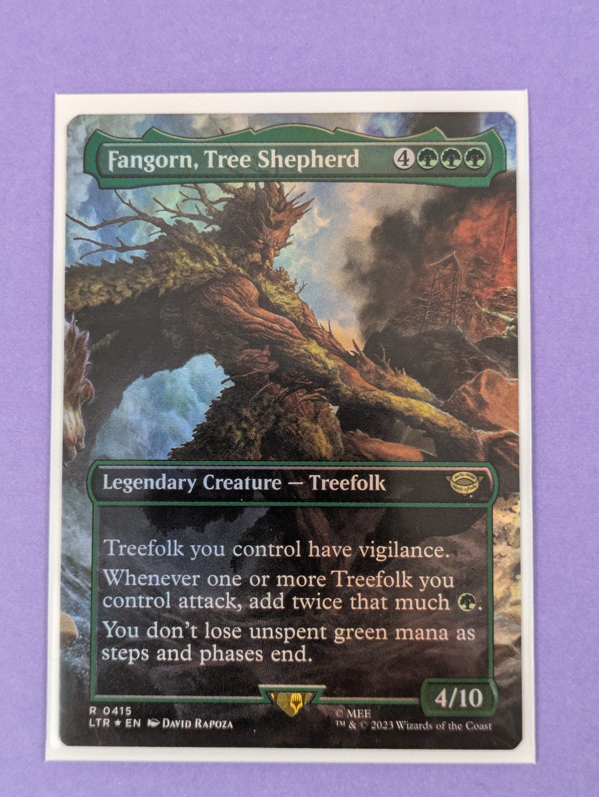 MTG: The Lord of the Rings: Fangorn, Tree Shepherd Borderless #0415 Rare - NM