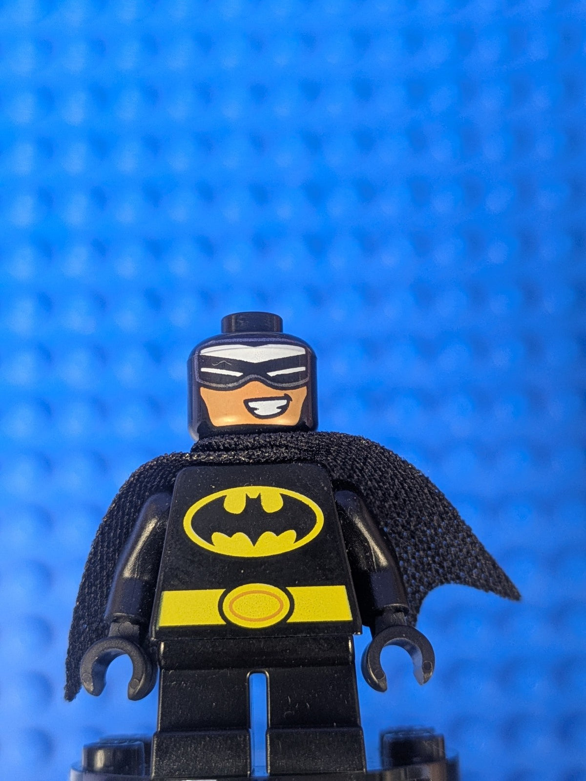 Lego Super Heroes: Batman - Short Legs, Black Torso sh0492 Set 70900