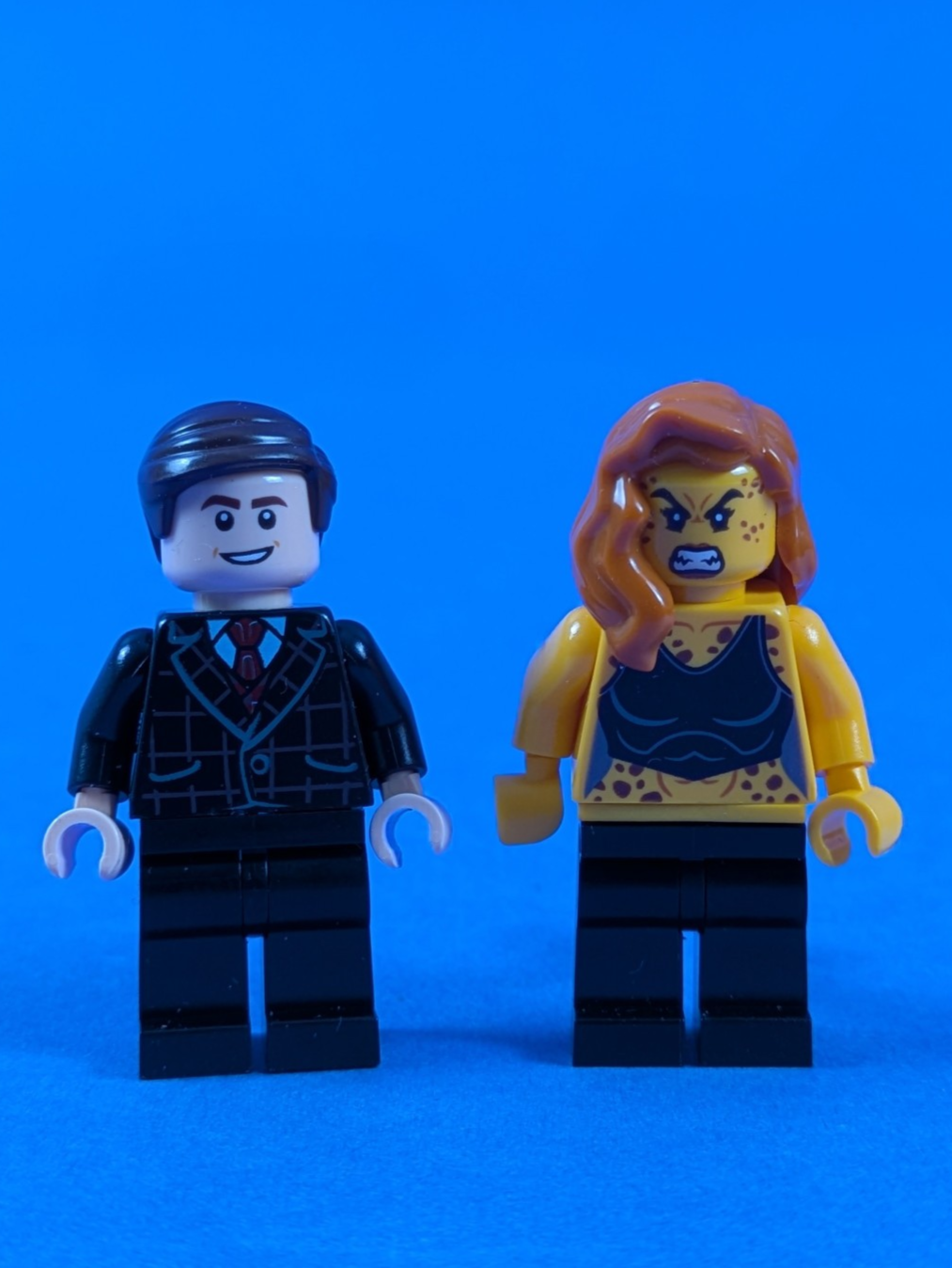 LEGO Super Heroes Wonder Woman vs Cheetah 76157 Incomplete Set Pre-Owned
