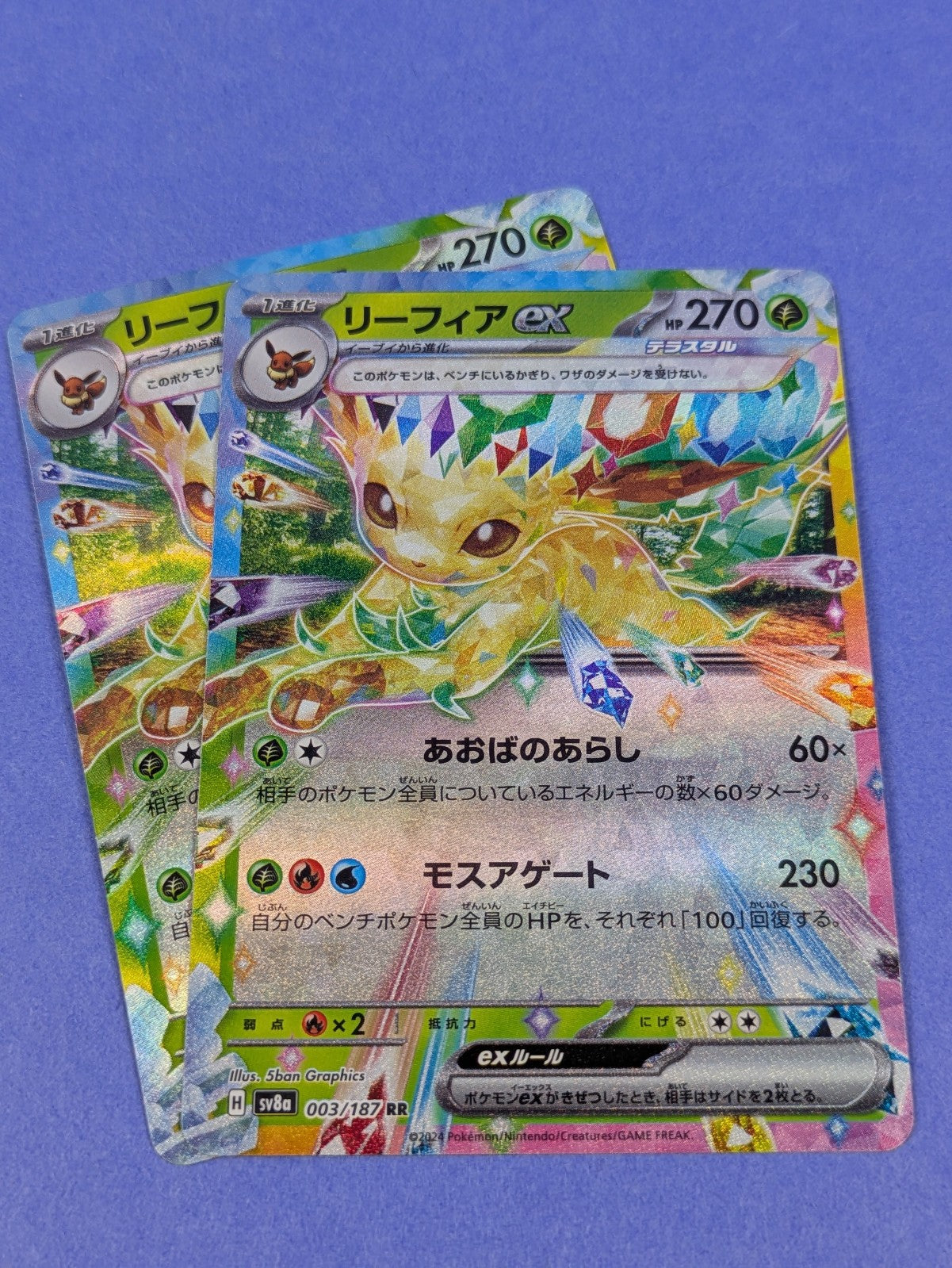 Leafeon EX - 003/187 - RR Holo Terastal Fest ex Japanese - Pokemon - NM