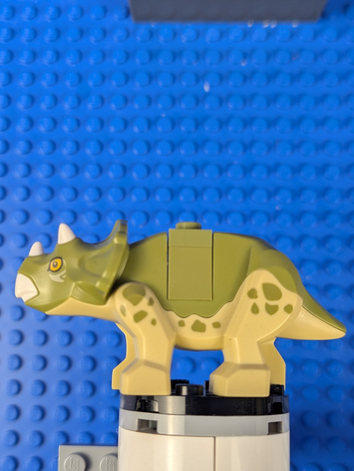 Lego Jurassic World: Animal: Dinosaur Triceratops Baby tricera05 Set 75939