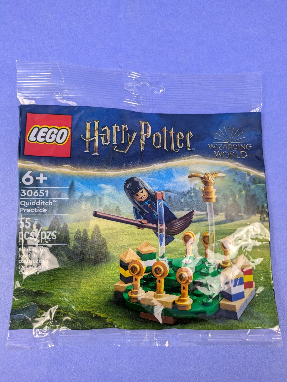 LEGO Harry Potter Quidditch Practice 30651