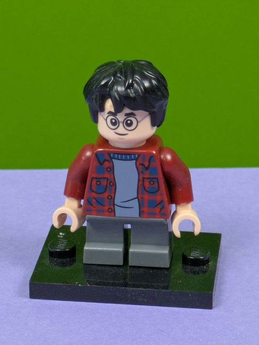 Lego Harry Potter: Chamber of Secrets: Harry Potter hp143 Sets 40452, 75953