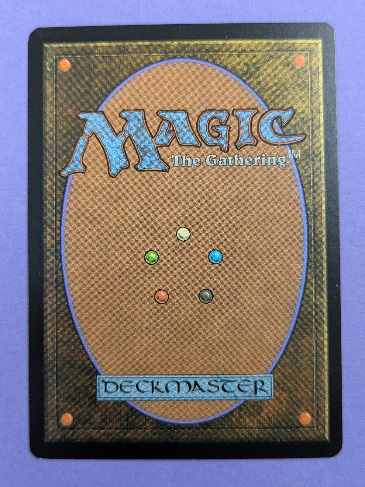 MTG Magic: Tenth Edition: Elvish Champion #261/383 Rare - NM