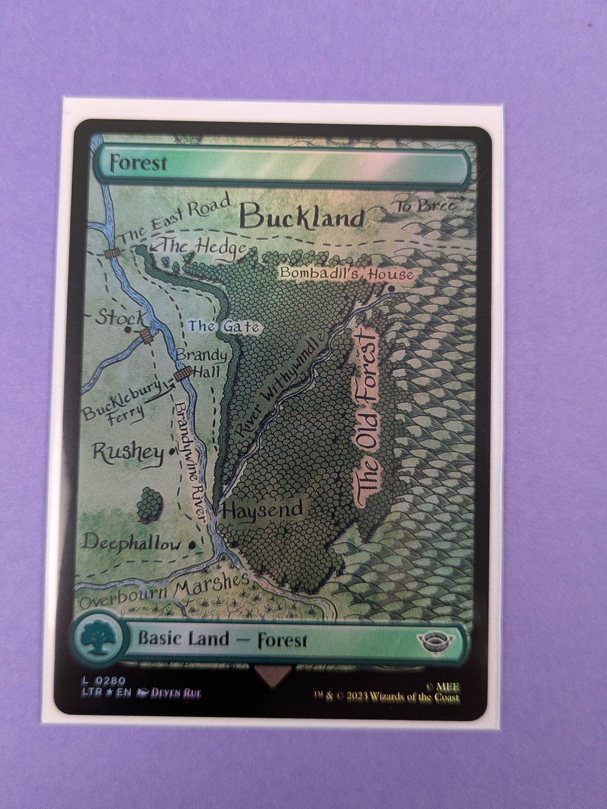 MTG: The Lord of the Rings: Tales of Middle-earth: Forest Foil #0280 Land - NM