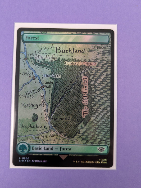 MTG: The Lord of the Rings: Tales of Middle-earth: Forest Foil #0280 Land - NM