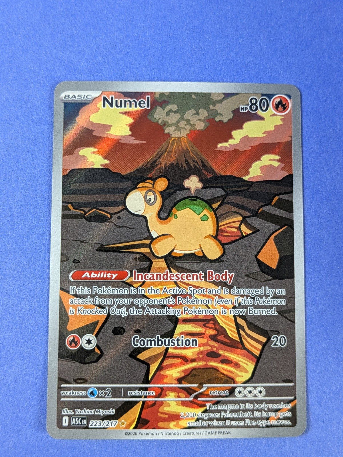 Numel - 223/217 - Illustration Rare Ascended Heroes - Pokemon Card - NM