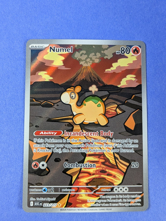 Numel - 223/217 - Illustration Rare Ascended Heroes - Pokemon Card - NM
