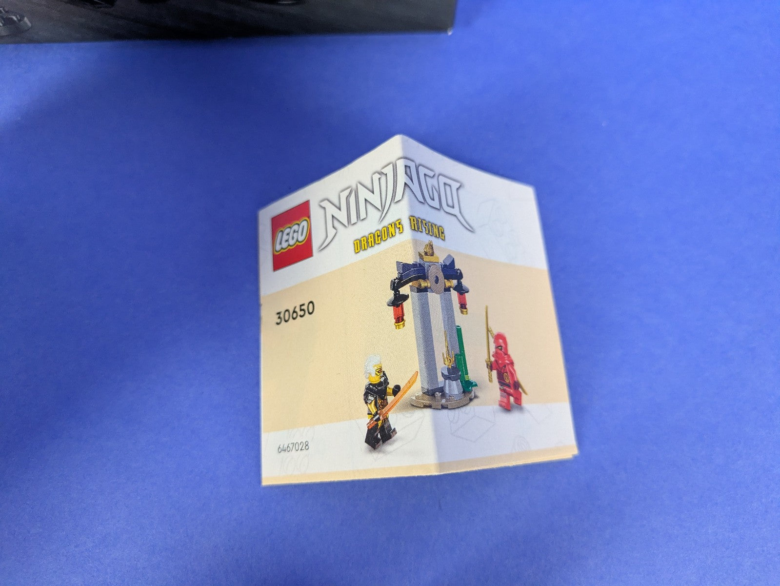 Lego NINJAGO: Spinjitzu Training & Kai and Rapton's Temple Battle Incomplete Set