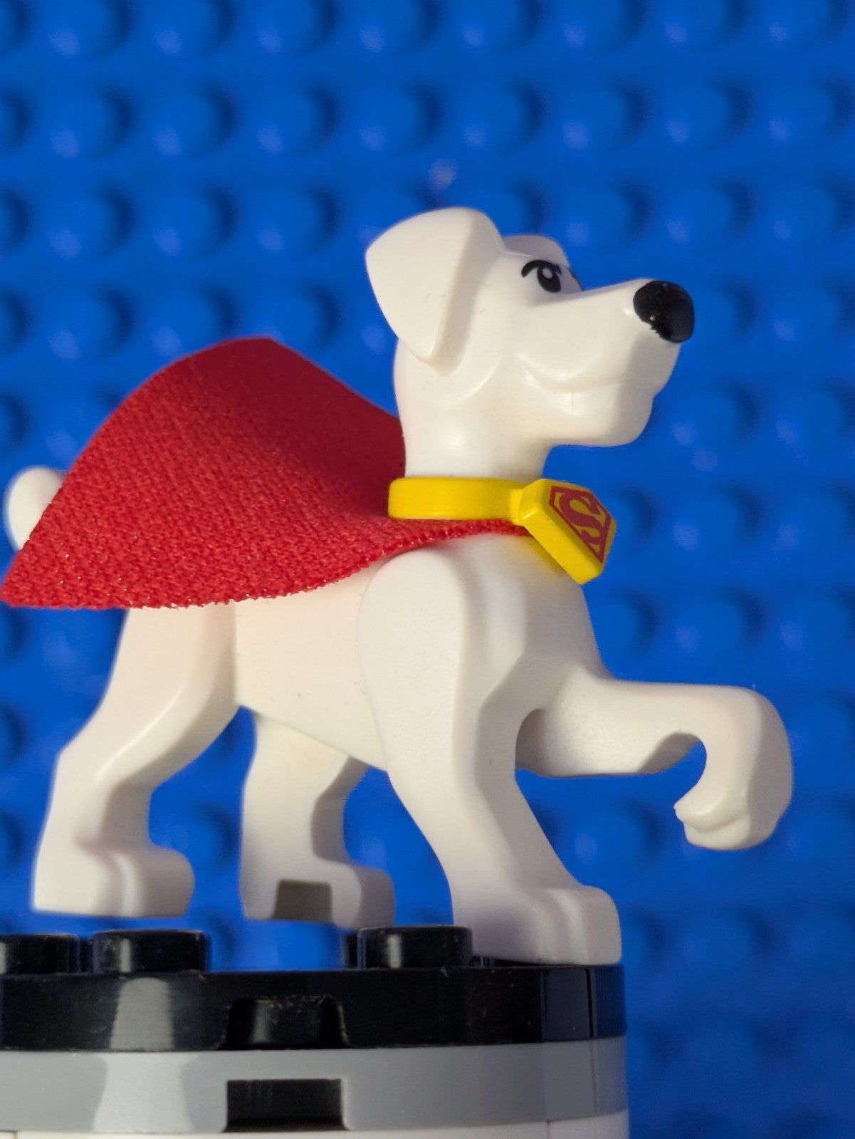 Lego Super Heroes: Animals: Krypto the Superdog 35033c01 Set 76110