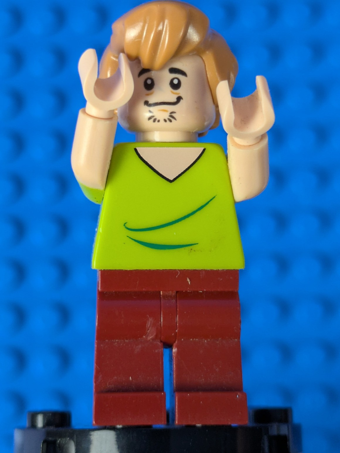 Lego Scooby-Doo: Shaggy Rogers - Closed Mouth scd001 Set 75901