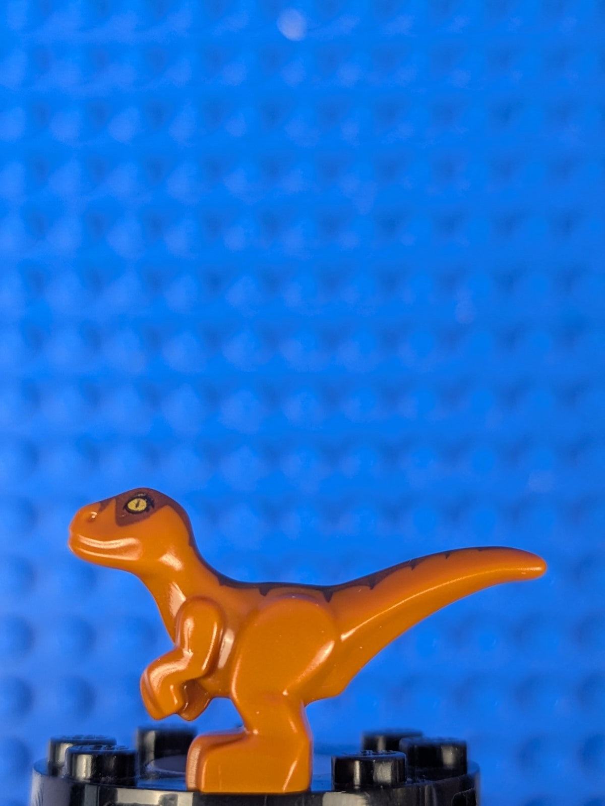 Lego Jurassic World: Animal: Dinosaur Baby Standing 37829pb01 Set 75929