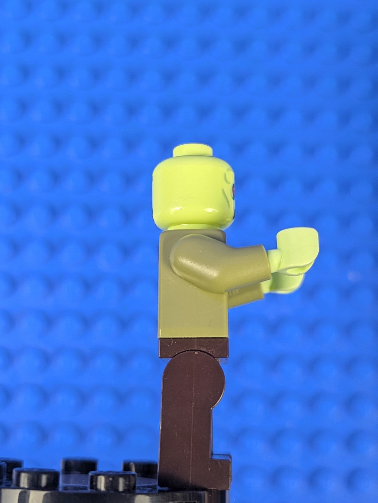 Lego Scooby-Doo: Zombie / Zeke scd009 Set 75902