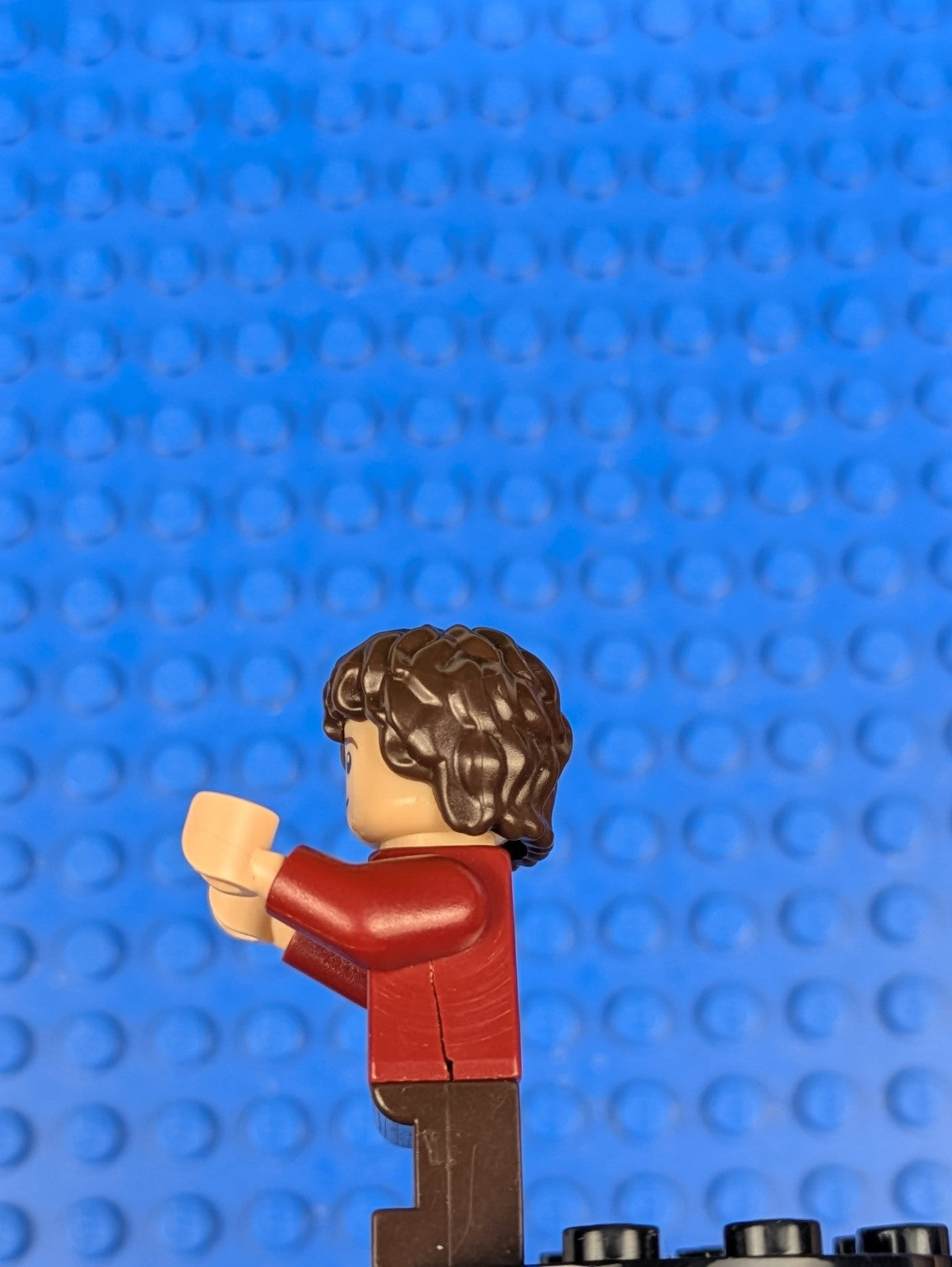 Lego The Hobbit and The Lord of the Rings: Bilbo Baggins lor030 Set 79000