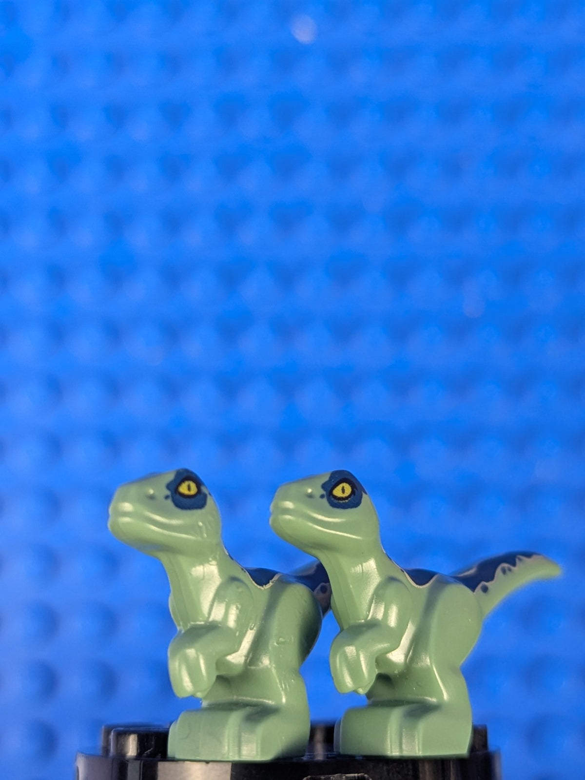 Lego Jurassic World: Animal: Dinosaur Baby Standing 37829pb02 Set b21jw01pl