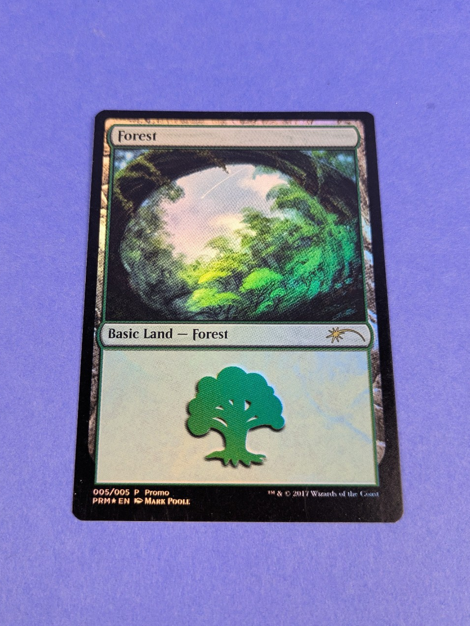 MTG Magic the Gathering: Gift Pack: Forest Foil #005/005 Promo - LP