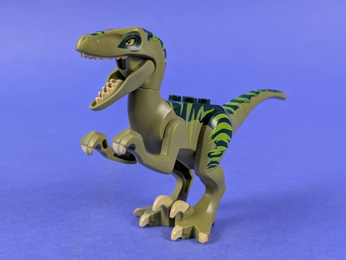 Lego Dino: Dinosaur Raptor Velociraptor with Dark Green Back raptor02 Set 5884