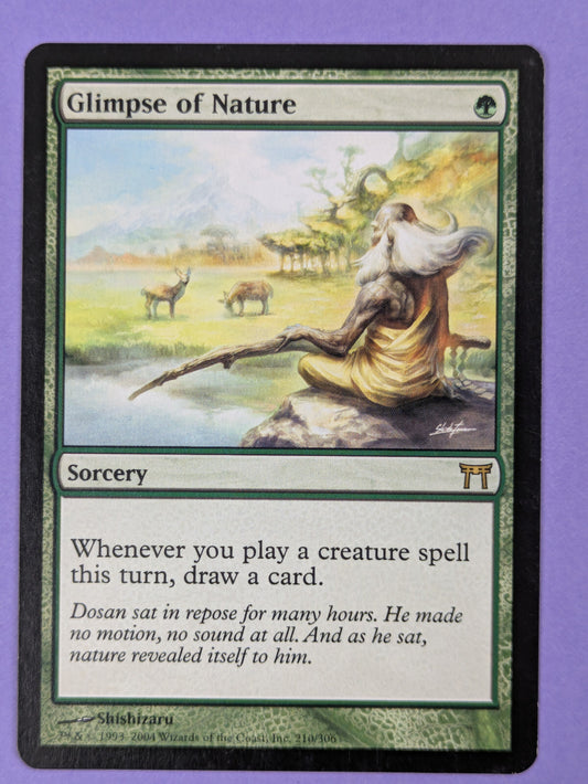 MTG Magic: Champions of Kamigawa: Glimpse of Nature #210/306 Rare - NM