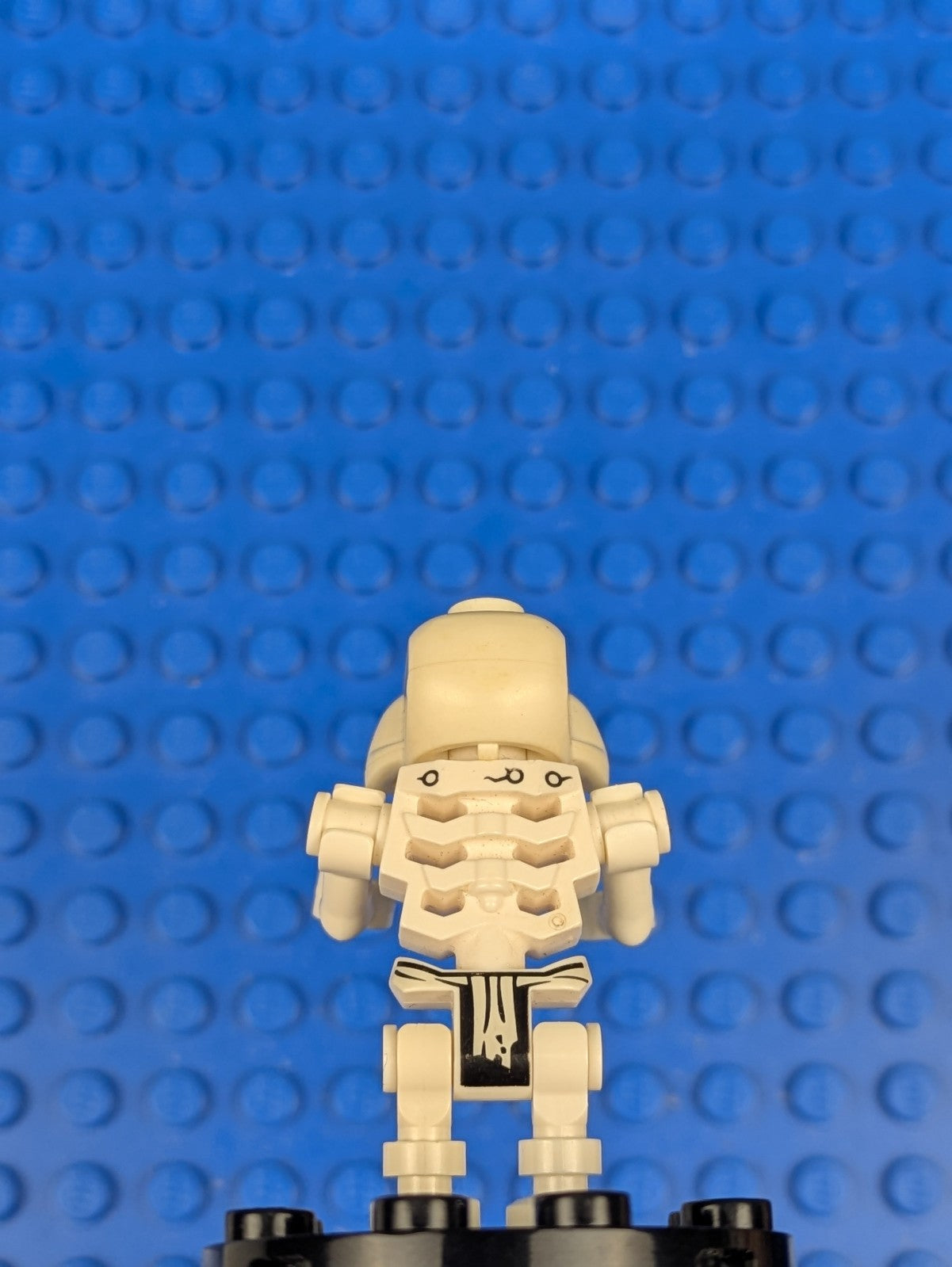 Lego NINJAGO: The Golden Weapons: Wyplash (Skulkin) njo0028 Set 2175