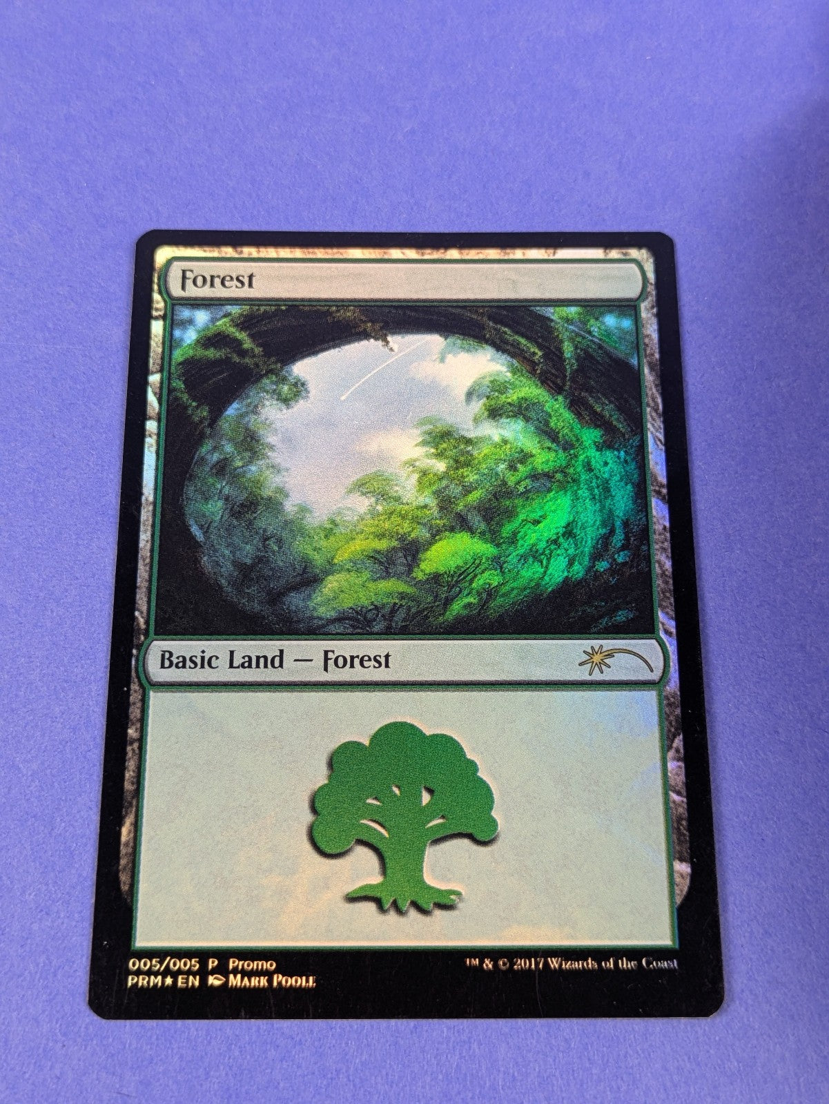 MTG Magic the Gathering: Gift Pack: Forest Foil #005/005 Promo - LP