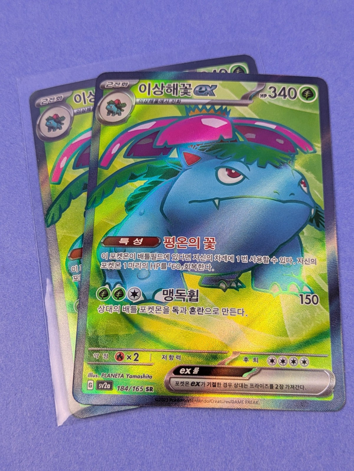 Venusaur ex - 184/165 - SR Holo sv2a Scarlet & Violet 151 - Pokemon - NM