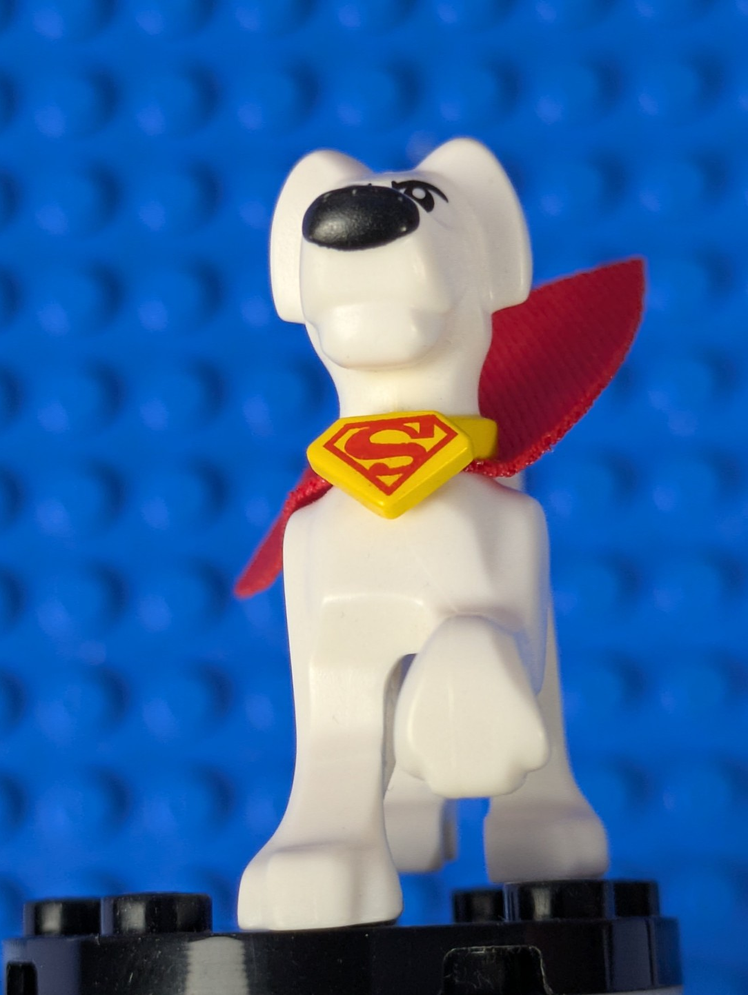 Lego Super Heroes: Animals: Krypto the Superdog 35033c01 Set 76110