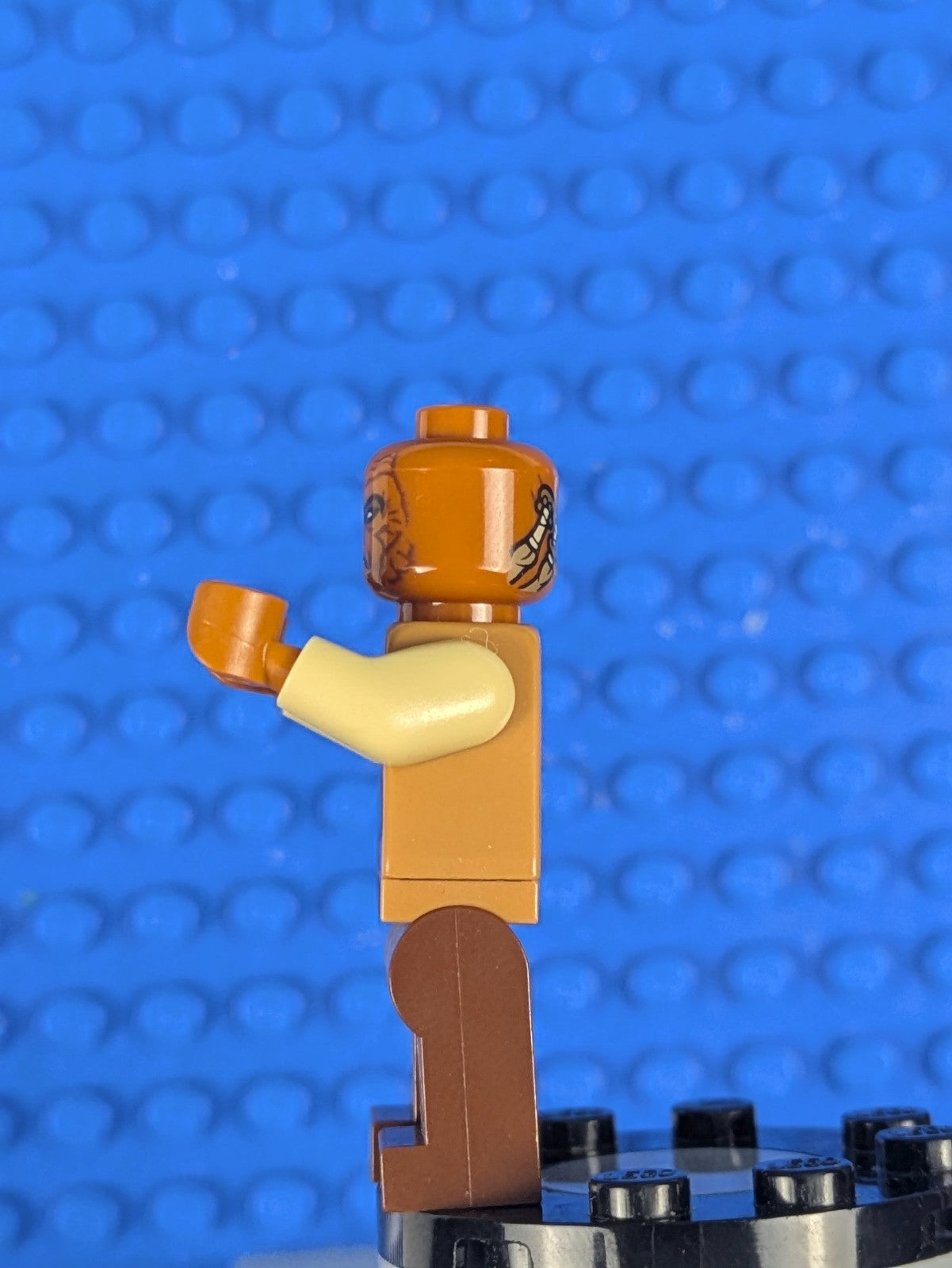 Lego Star Wars: Weequay Skiff Guard (Rintel Aren) sw0821 Set 75174