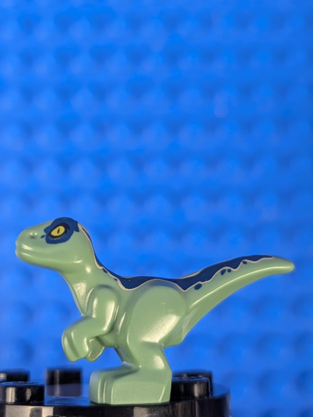Lego Jurassic World: Animal: Dinosaur Baby Standing 37829pb02 Set b21jw01pl