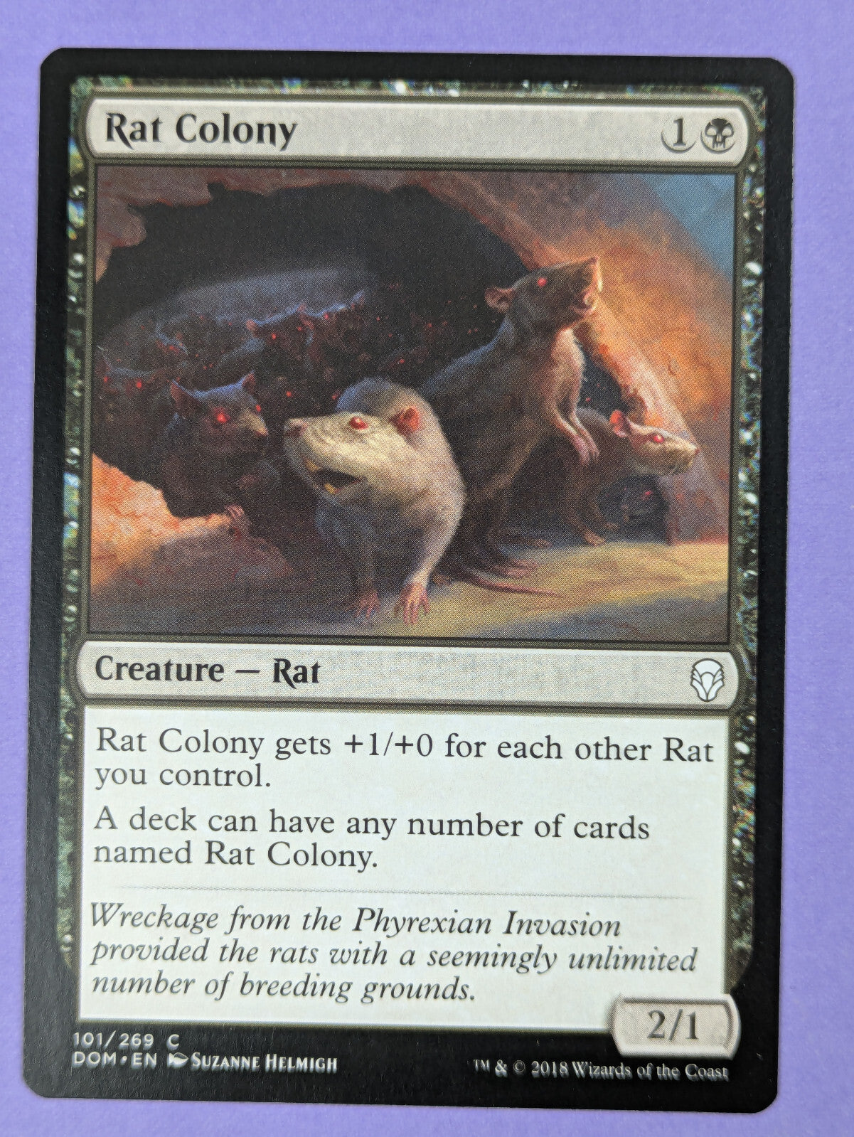 MTG Magic The Gathering: Dominaria: Rat Colony #101/269 Common - NM