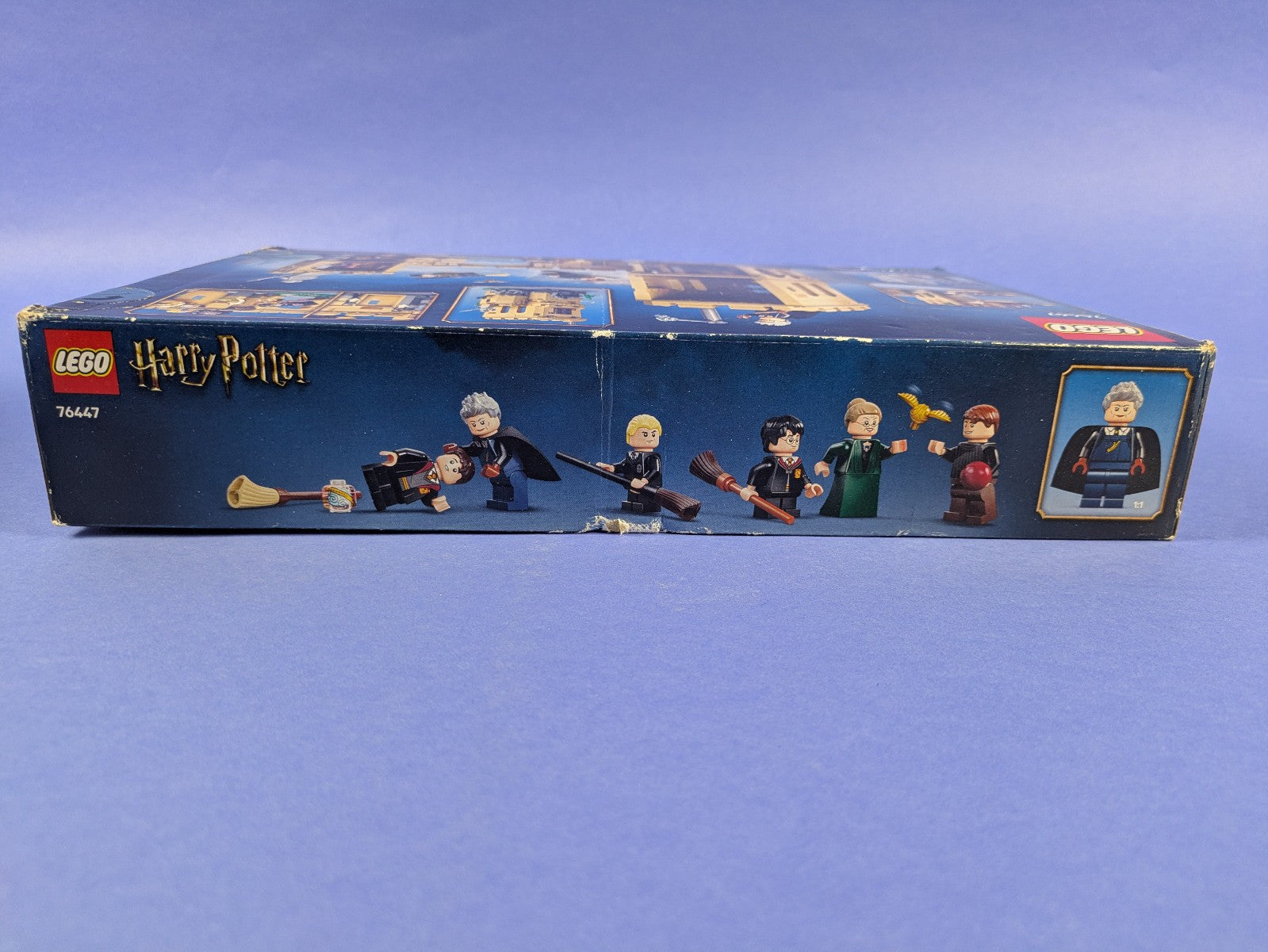 Lego Harry Potter: Hogwarts Castle: Flying Lessons Set 76447 BRAND NEW