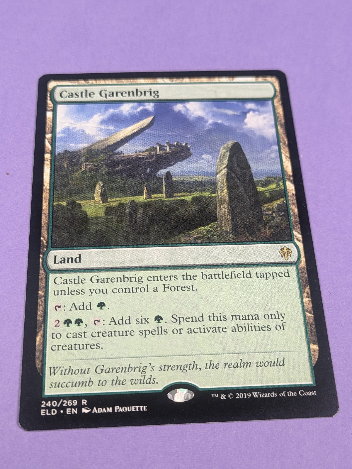 MTG Magic: Throne of Eldraine: Castle Garenbrig #240/269 Rare - NM