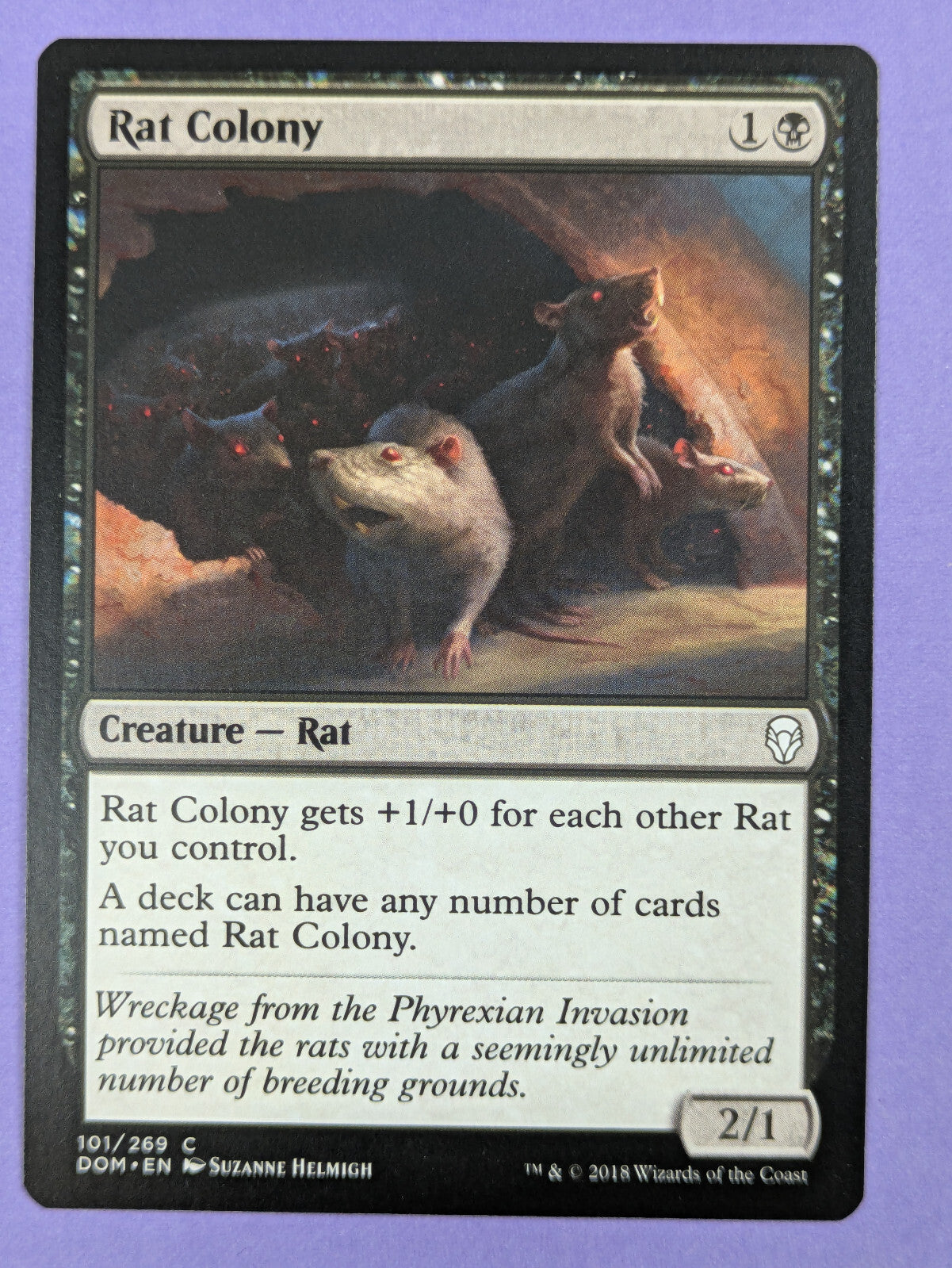 MTG Magic The Gathering: Dominaria: Rat Colony #101/269 Common - NM