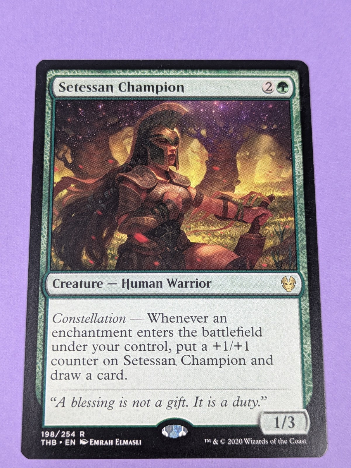 MTG Magic: Theros Beyond Death: Setessan Champion #198/254 Rare - NM
