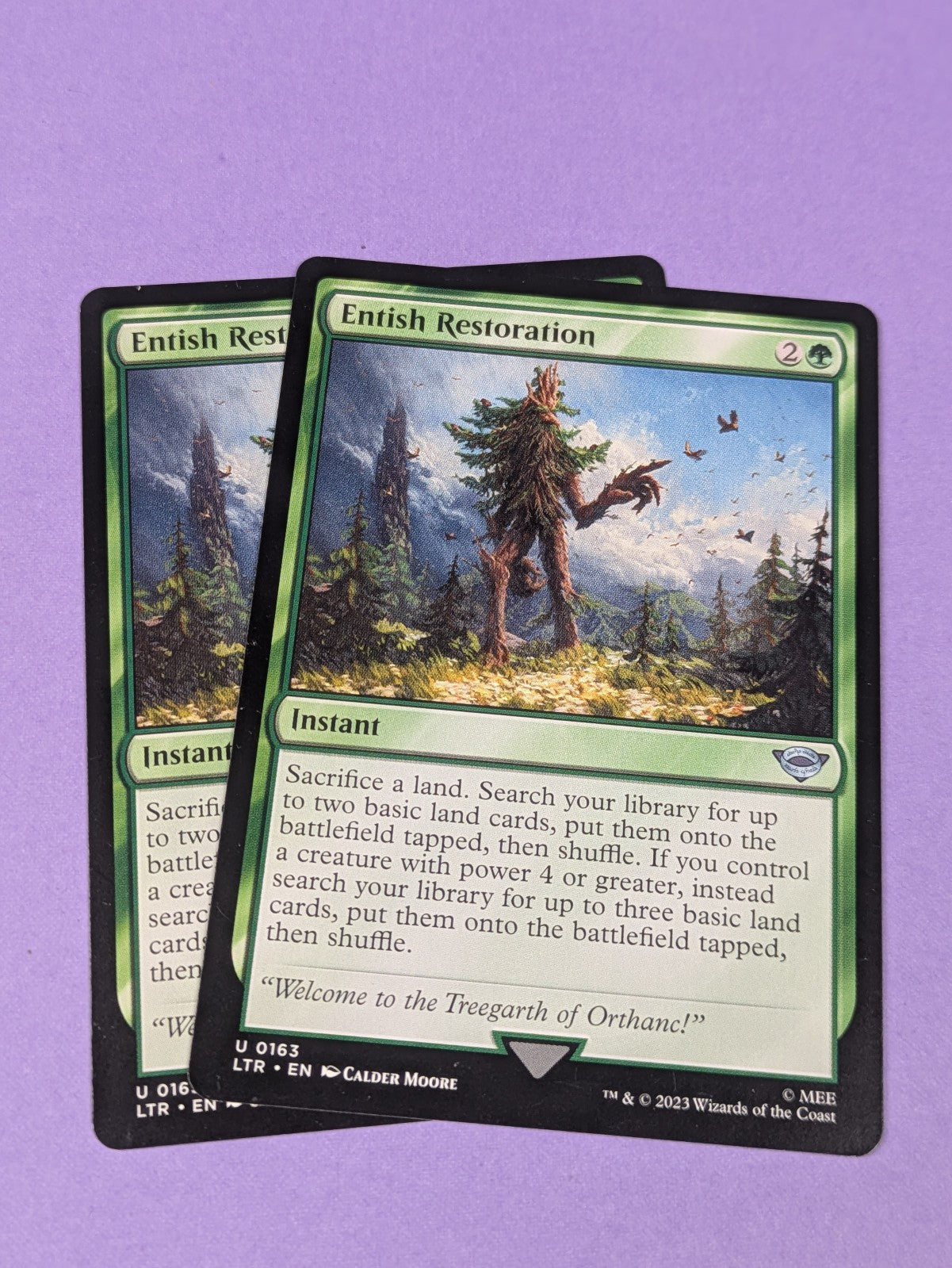 MTG Magic: The Lord of the Rings: Entish Restoration #0163 Uncommon - NM