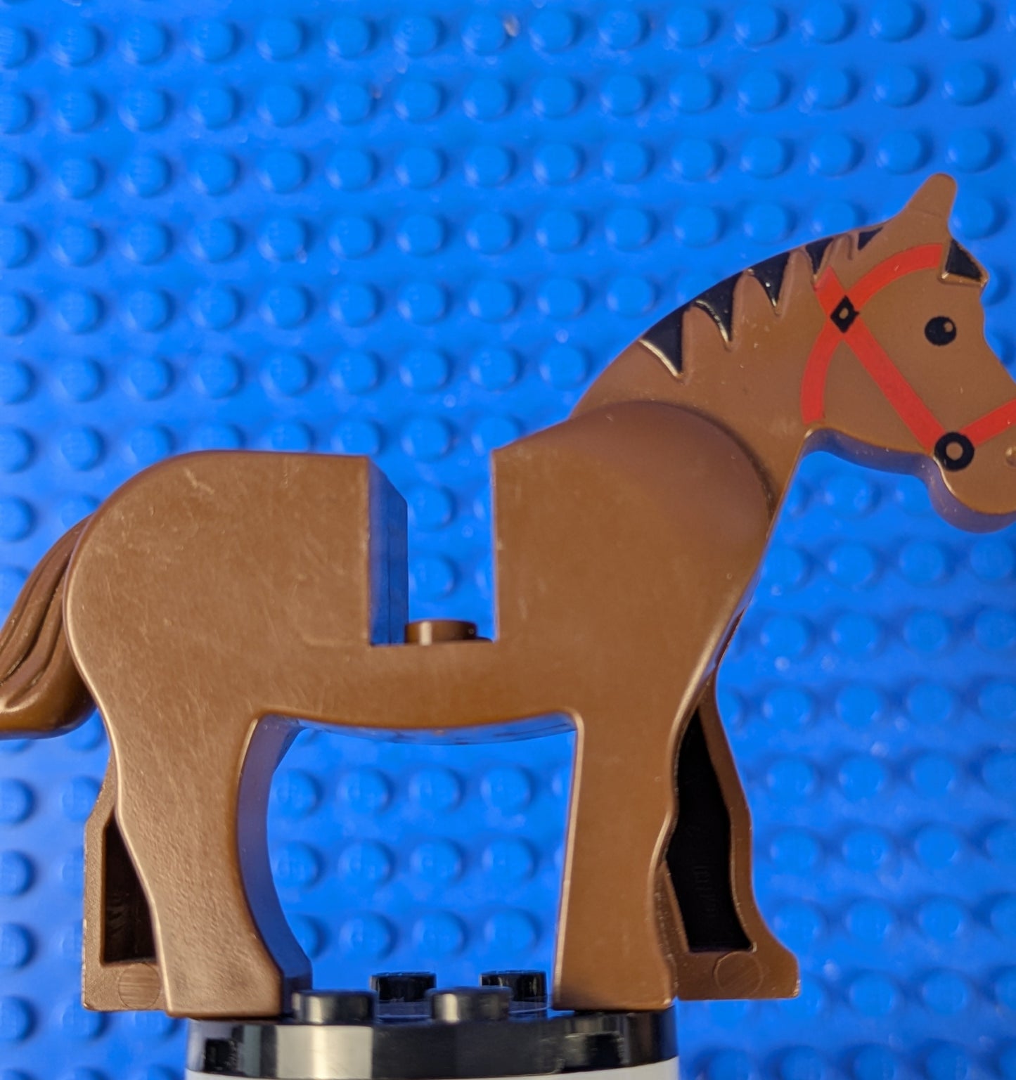 LEGO Town Horse with Black Eyes 4493c01pb01 6355 6762