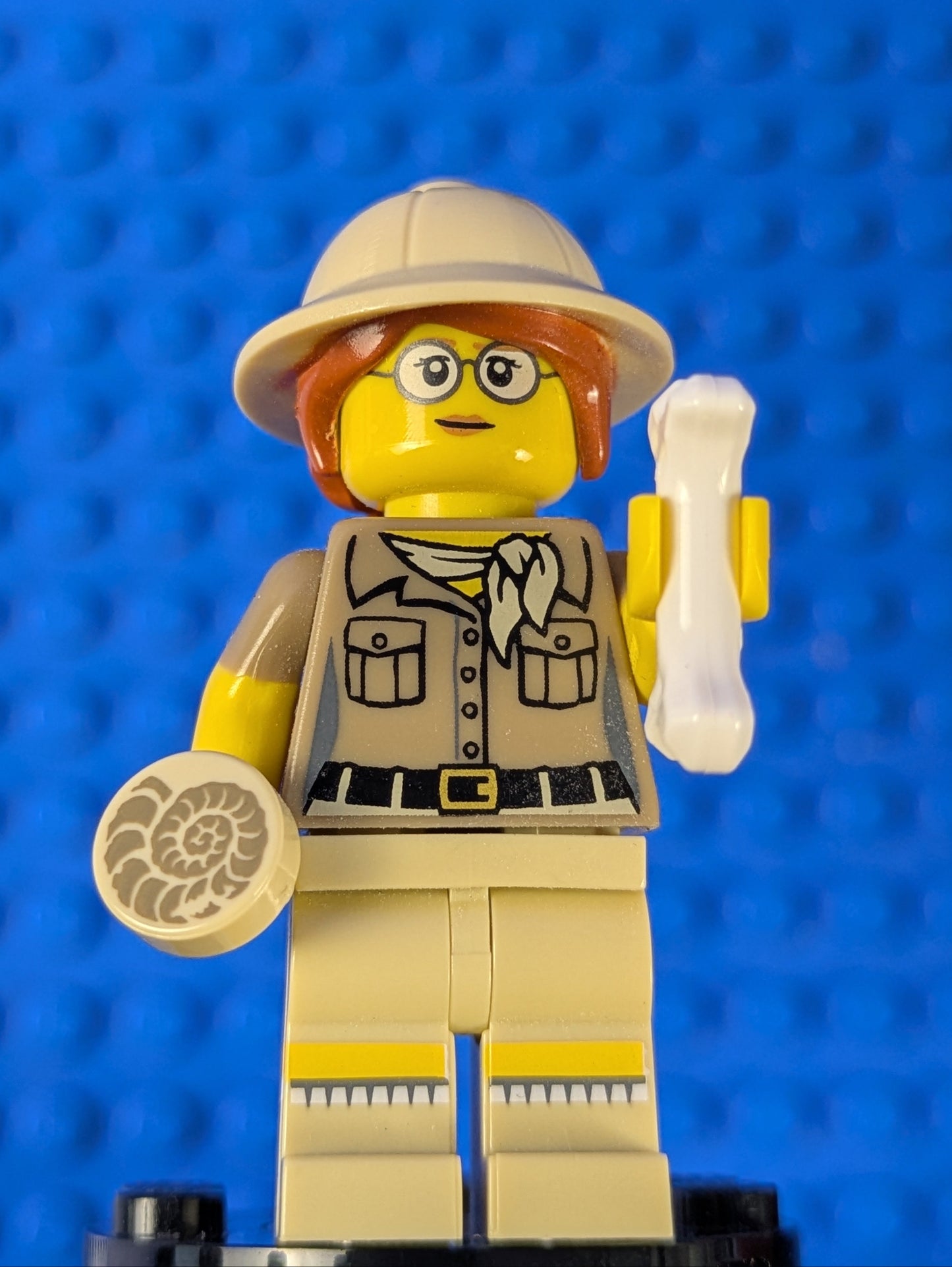 Lego Collectible Minifigures: Series 13: Paleontologist col200 Set 71008 6100808